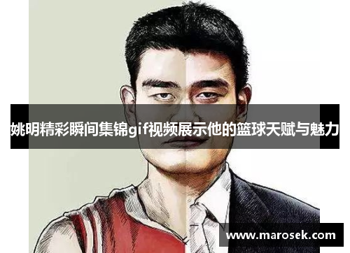 姚明精彩瞬间集锦gif视频展示他的篮球天赋与魅力